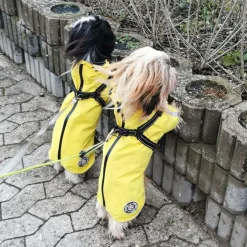 Ollipet Aqua Explorer Regnjakke Med Sele