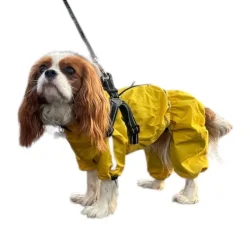 Ollipet AQUA Full Body Regndragt | M. Sele