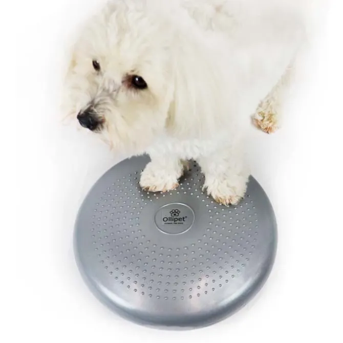 Ollipet Balancepude