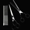 Ollipet Basic Groomingsæt M. Kam Z1