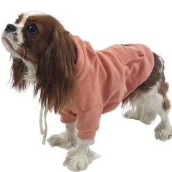 Ollipet Buddy Hoodie | Koral