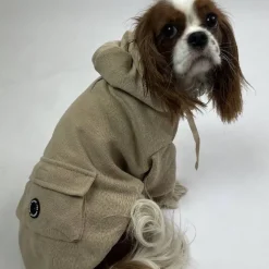 Ollipet Buddy Hoodie | Sand
