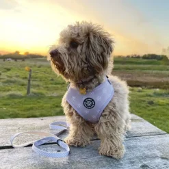 Ollipet City Lux Selesæt | Olli Paws / Cute Little Dots Z1
