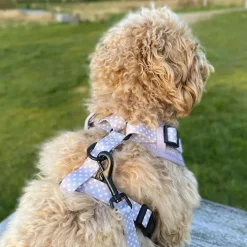 Ollipet City Lux Selesæt | Olli Paws / Cute Little Dots Z1