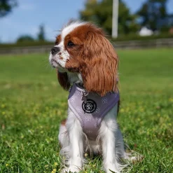 Ollipet City Lux Selesæt | Olli Paws / Cute Little Dots Z1