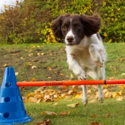 Ollipet DogFit Agility | Hurdle Cone Set