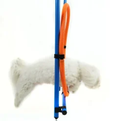 Ollipet DogFit Agility | Hurdle Jump Ring