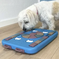 Ollipet Dogs Aktivitetsspil | Niveau 3