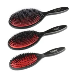 Ollipet Exclusive Bristle & Nylon Brush