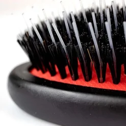 Ollipet Exclusive Bristle & Nylon Brush