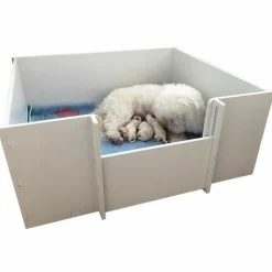 Ollipet Fødekasse Til Hunde | Plast