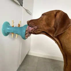 Ollipet Floppy Cup