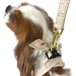 Ollipet Flora Hundesnor | Sand