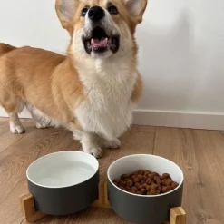 Ollipet Freddy Skåle I Bambusholder Z1