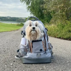 Ollipet Hiking Backpack