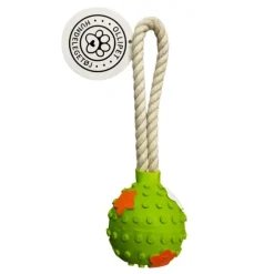 Ollipet Kastebold M. Reb