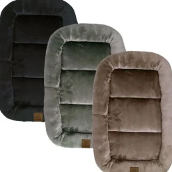 Ollipet Kaya Wellness Madras