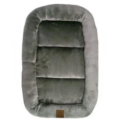 Ollipet Kaya Wellness Madras