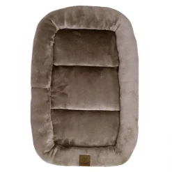 Ollipet Kaya Wellness Madras