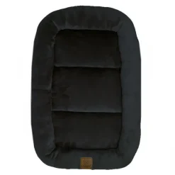 Ollipet Kaya Wellness Madras