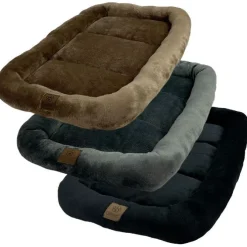 Ollipet Kaya Wellness Madras