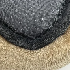 Ollipet Kaya Wellness Madras