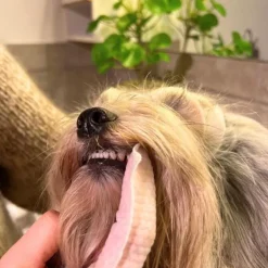 Ollipet Pet Dental Finger Wipes