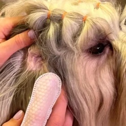 Ollipet Pet Ear Finger Wipes