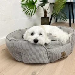 Ollipet Quinn Hundeseng