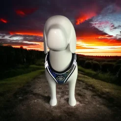 Ollipet Refleks Step-in Hundesele