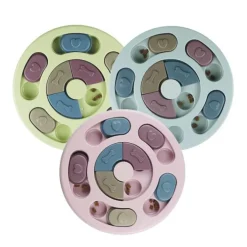 Ollipet Roman Compass Aktivitetsspil | Niveau 1