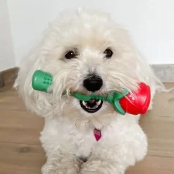 Ollipet Romantic Rose Chew Toy | OUTLET