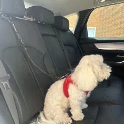 Ollipet Sikkerhedssele Til Hunde