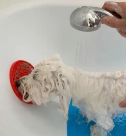 Ollipet Slow Eat Slikkemåtte | Rund