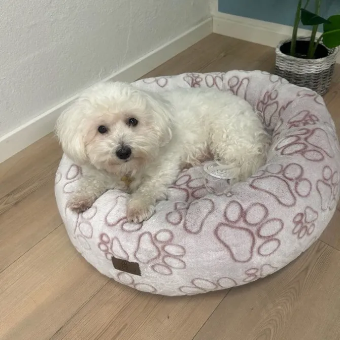 Ollipet Snuggle Donut Hundeseng | OUTLET