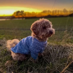 Ollipet Softy Hundetrøje