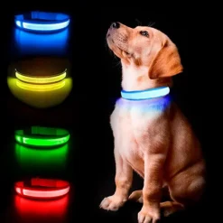 Ollipet The Stripe LED Collar | Halsbånd Med Lys