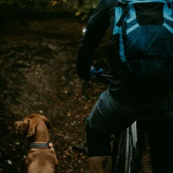 Orbiloc K9 Active Pack