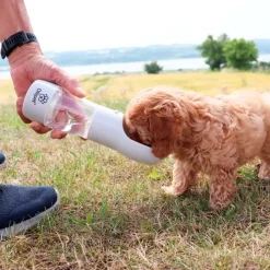 Pet Water Cup | 2i1