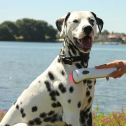 Photizo Vetcare | Infrarød Lysterapi
