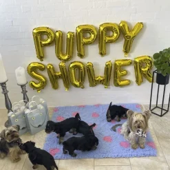 Puppy Shower Ballon
