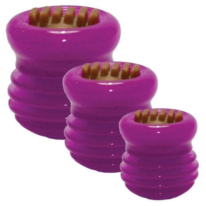 Starmark Everlasting Treat Groovy Ball Lisa
