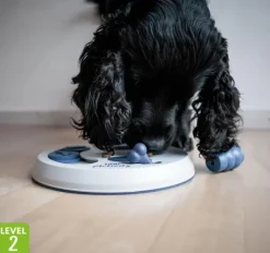 Strategispil Flip Board Fra Trixie | Level 2