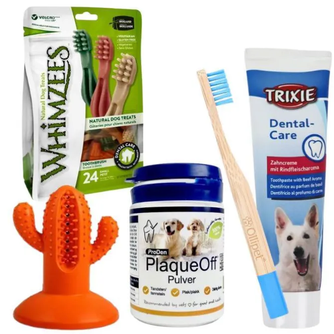 Tandplejesæt Til Hunde Z1