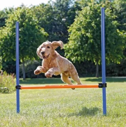 Trixie Agility Hurdle | Agility Forhindring
