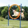 Trixie Agility Ring