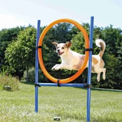 Trixie Agility Ring