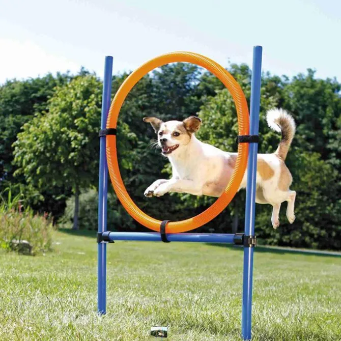 Trixie Agility Ring
