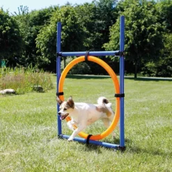 Trixie Agility Ring