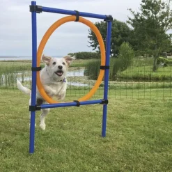 Trixie Agility Ring
